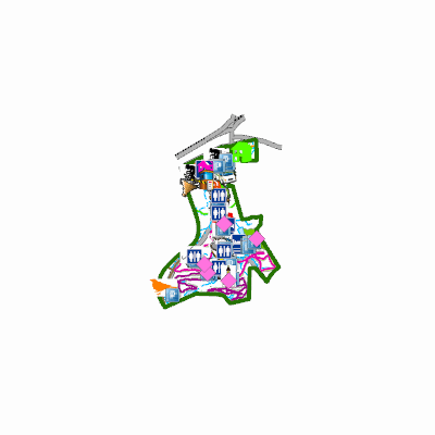 Export Image