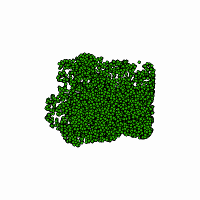 Export Image